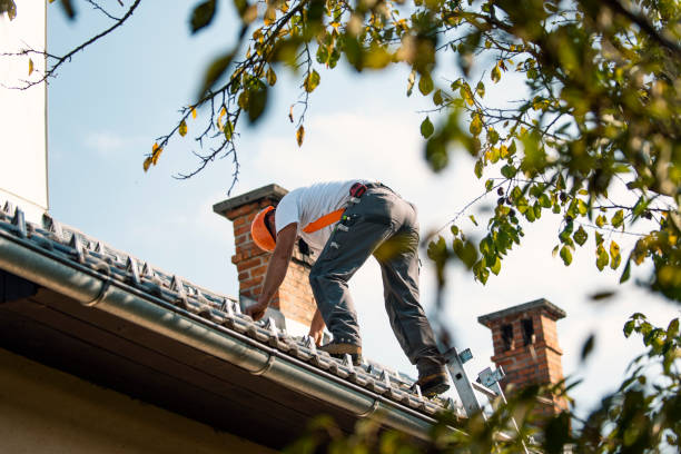 Best Commercial Roof Installation  in Worthington, MN