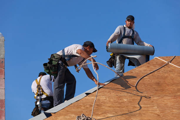 Best Best Roofing Contractors  in Worthington, MN