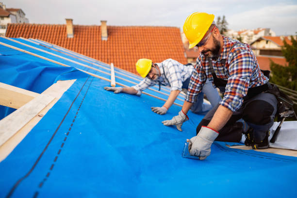 Best Flat Roof Repair Services  in Worthington, MN